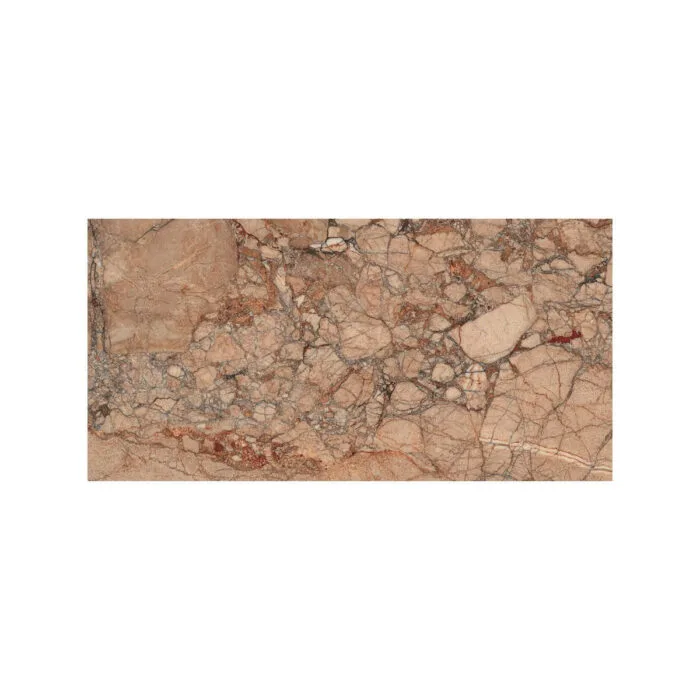 Lucca BrecciaPernice 30×60 1