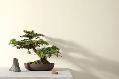 Gypsum Room Set Gypsum Room Set