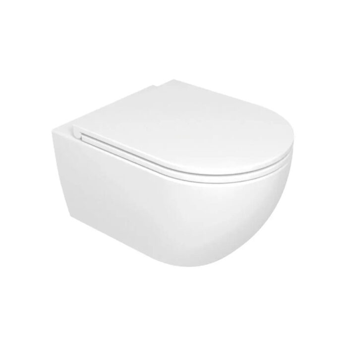 Rio vaeghaengt toilet