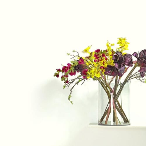 araucana shell 1 1 araucana shell 1 1