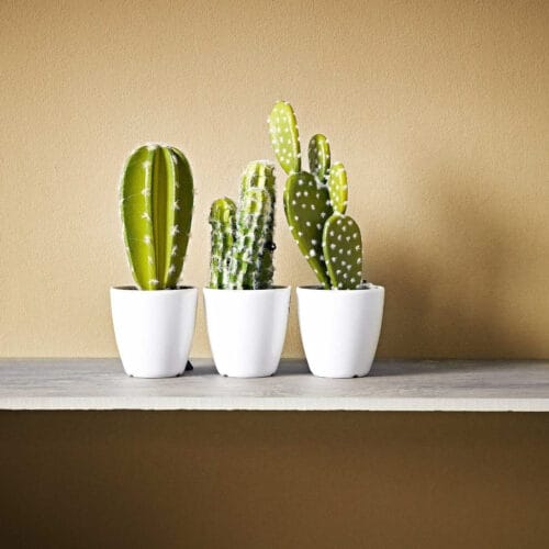 burnt verdigris 1 1 burnt verdigris 1 1