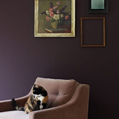 carragheen 1 1 carragheen 1 1