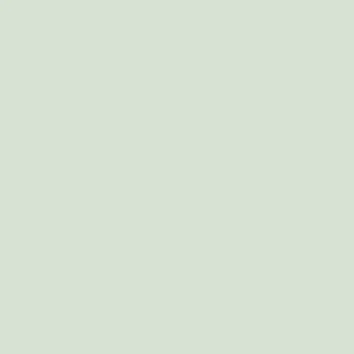celadon 2