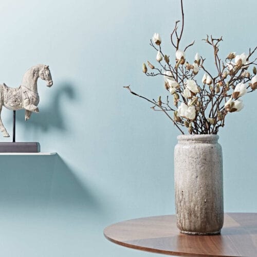 duck egg 1 1 duck egg 1 1