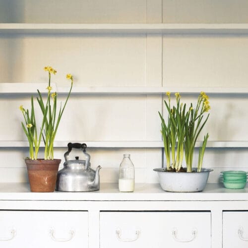 mockingbird 1 1 mockingbird 1 1