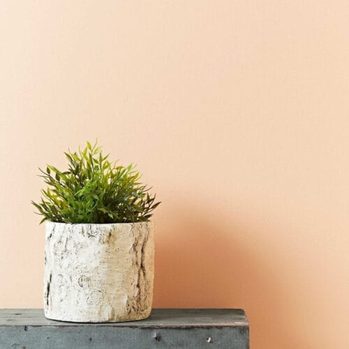 old ochre 1 1 old ochre 1 1