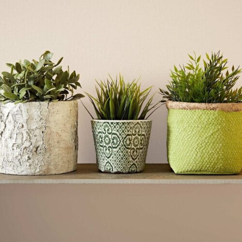 old white 1 1 old white 1 1