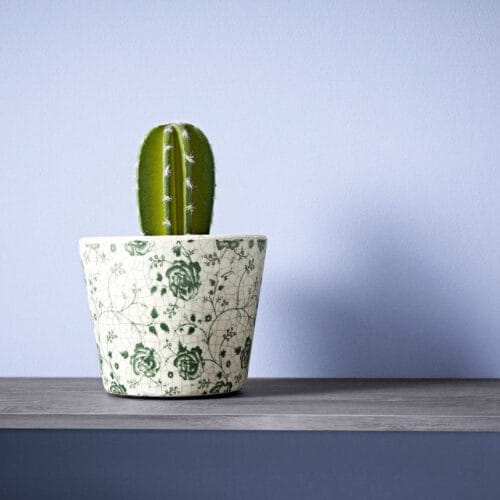 sea lavender 1 1 sea lavender 1 1