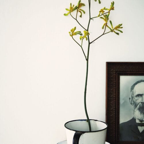 silica white 1 1 silica white 1 1