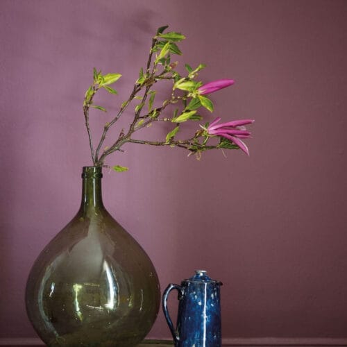 tyrian rose 1 1 tyrian rose 1 1