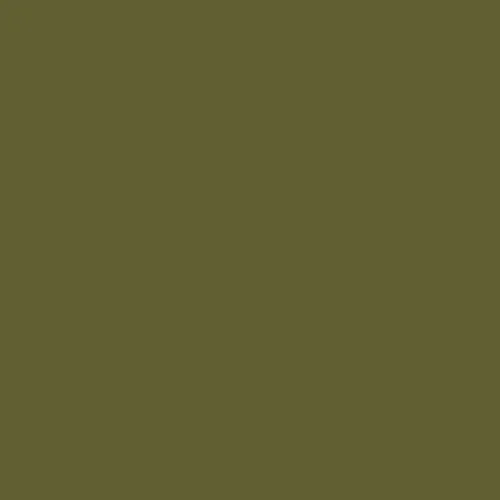 wild olive 2