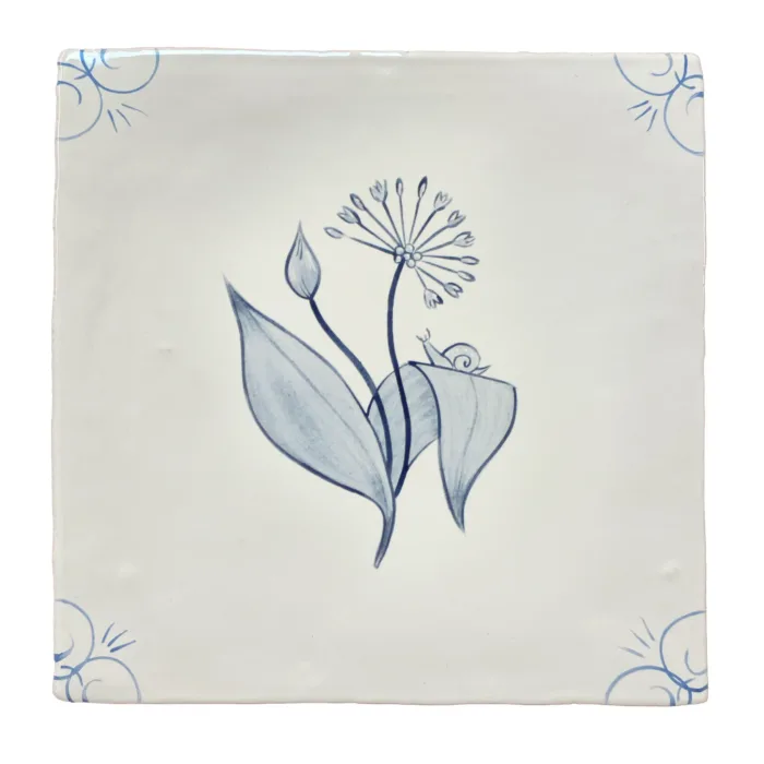 English Delft Garlicflower